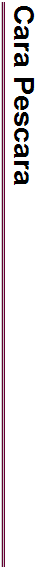 Cara Pescara