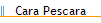 Cara Pescara